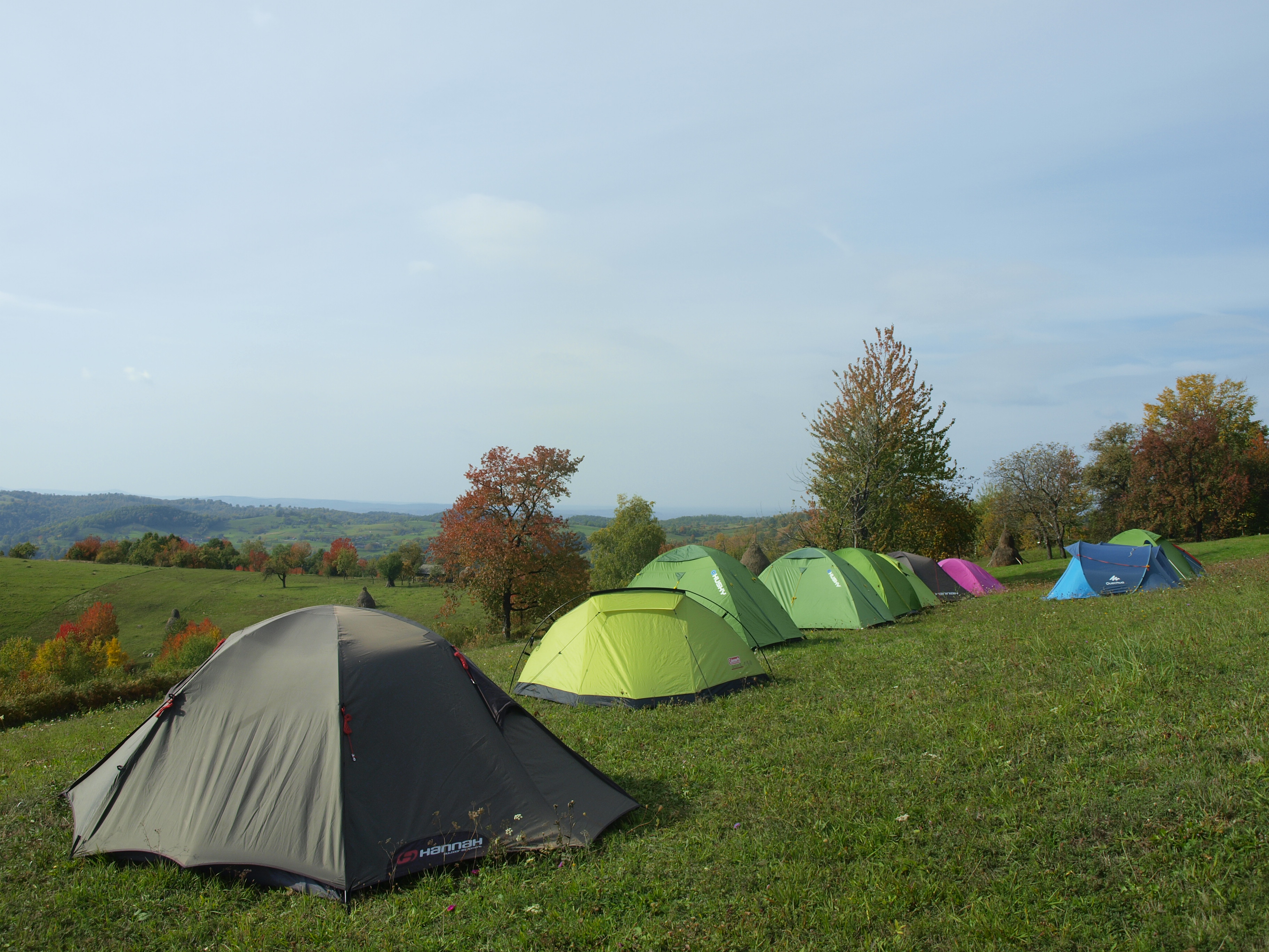 OLYMPUS DIGITAL CAMERA OLYMPUS DIGITAL CAMERA