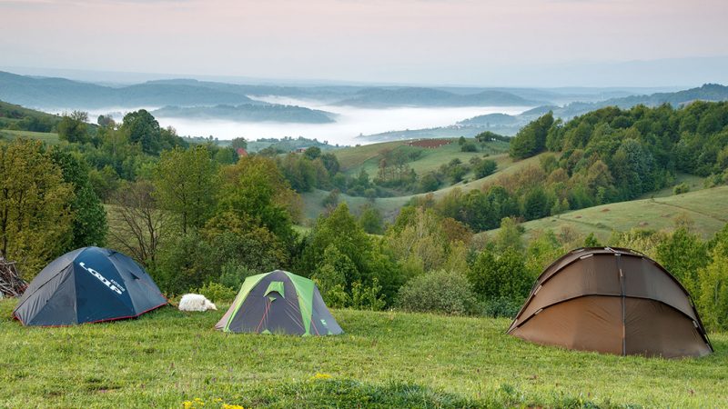 Padurea-Craiului-Valea-Rosia-catunul-Runcuri-800x450