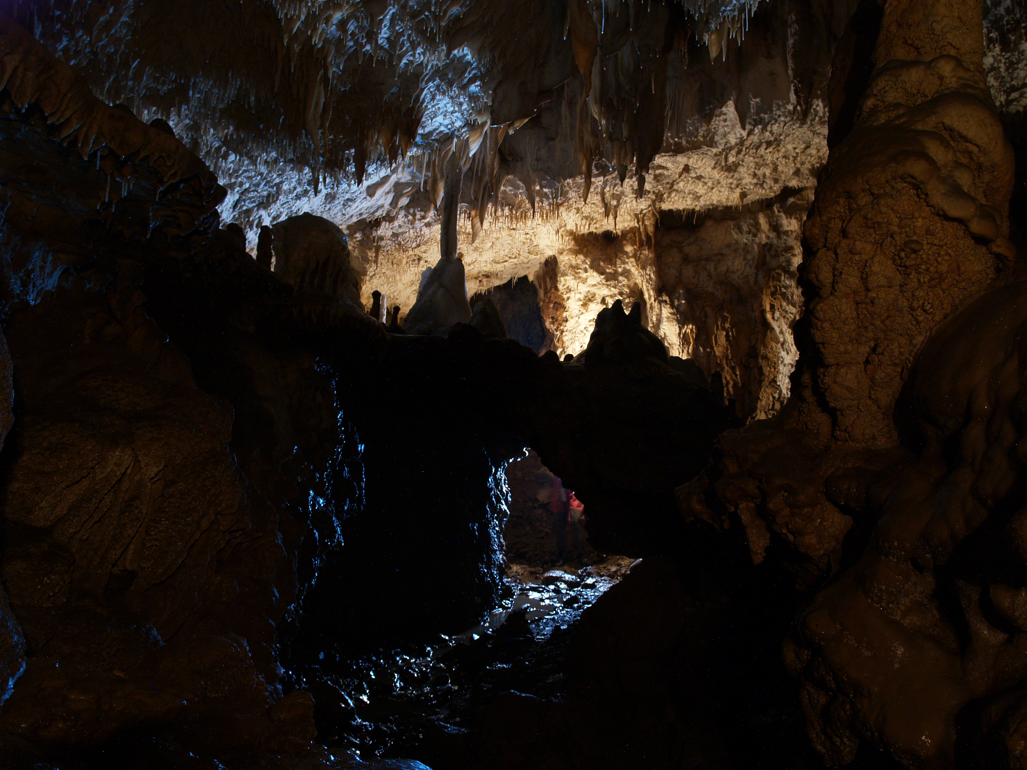 OLYMPUS DIGITAL CAMERA OLYMPUS DIGITAL CAMERA