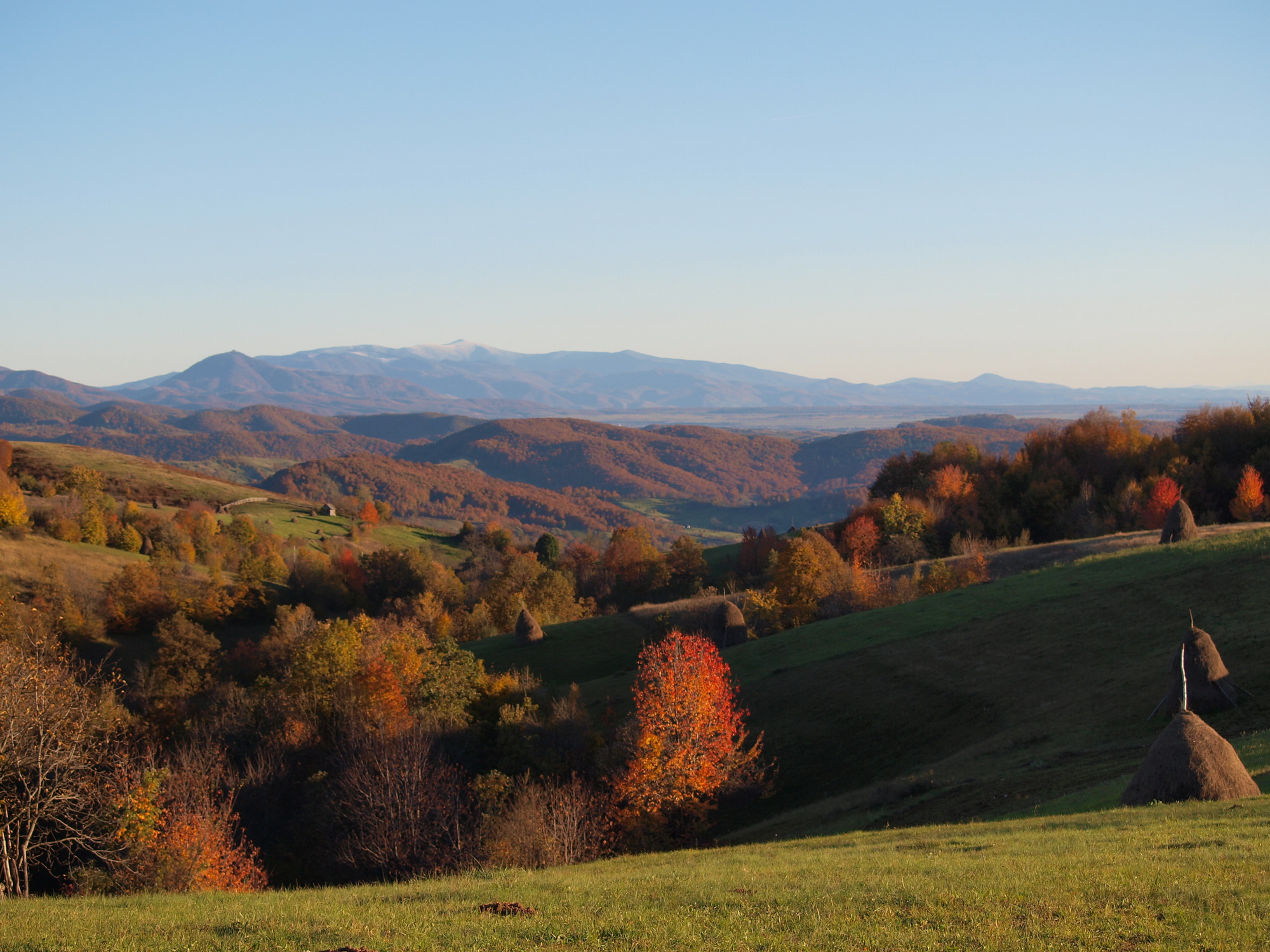 OLYMPUS DIGITAL CAMERA OLYMPUS DIGITAL CAMERA