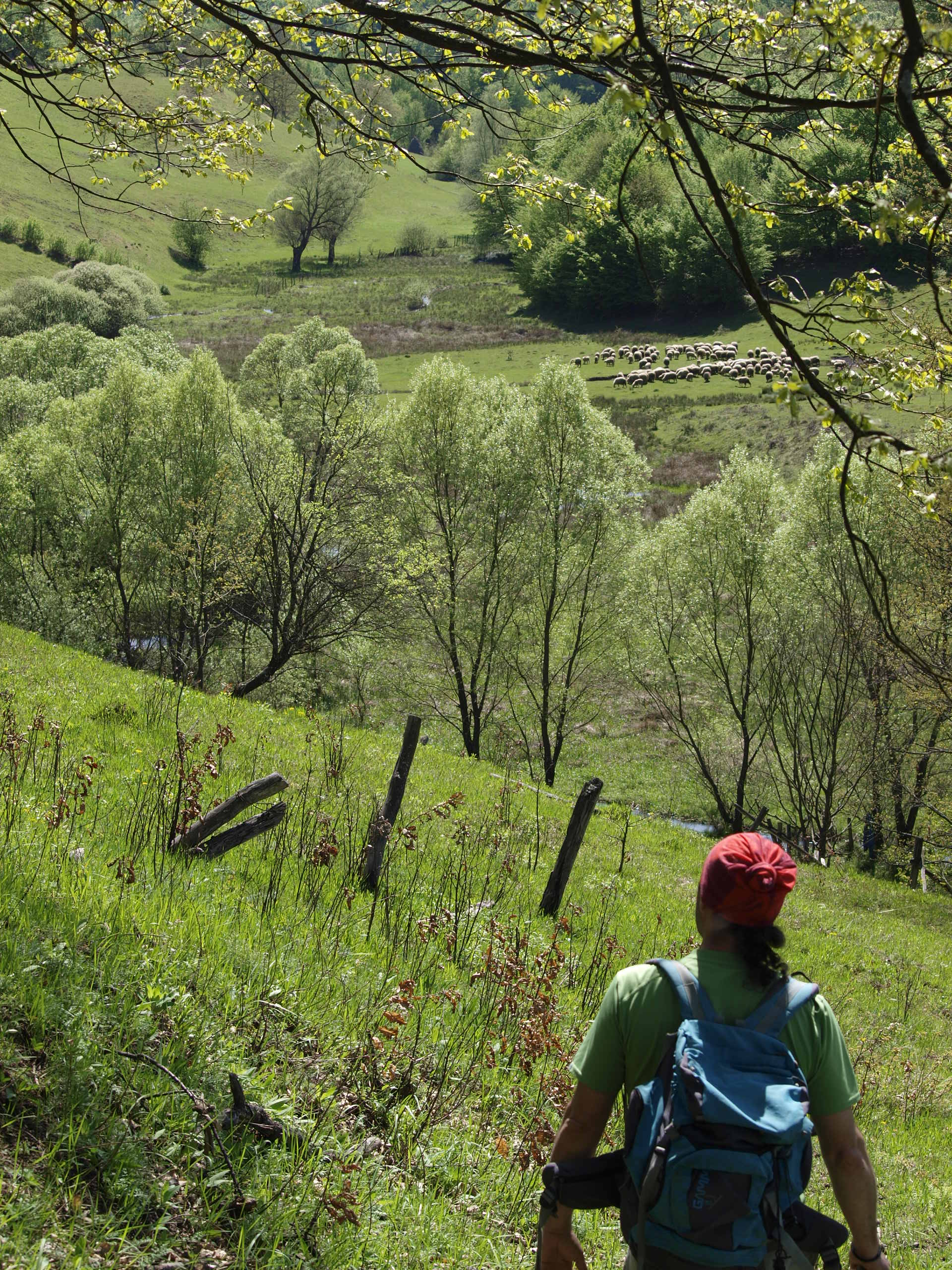 OLYMPUS DIGITAL CAMERA OLYMPUS DIGITAL CAMERA