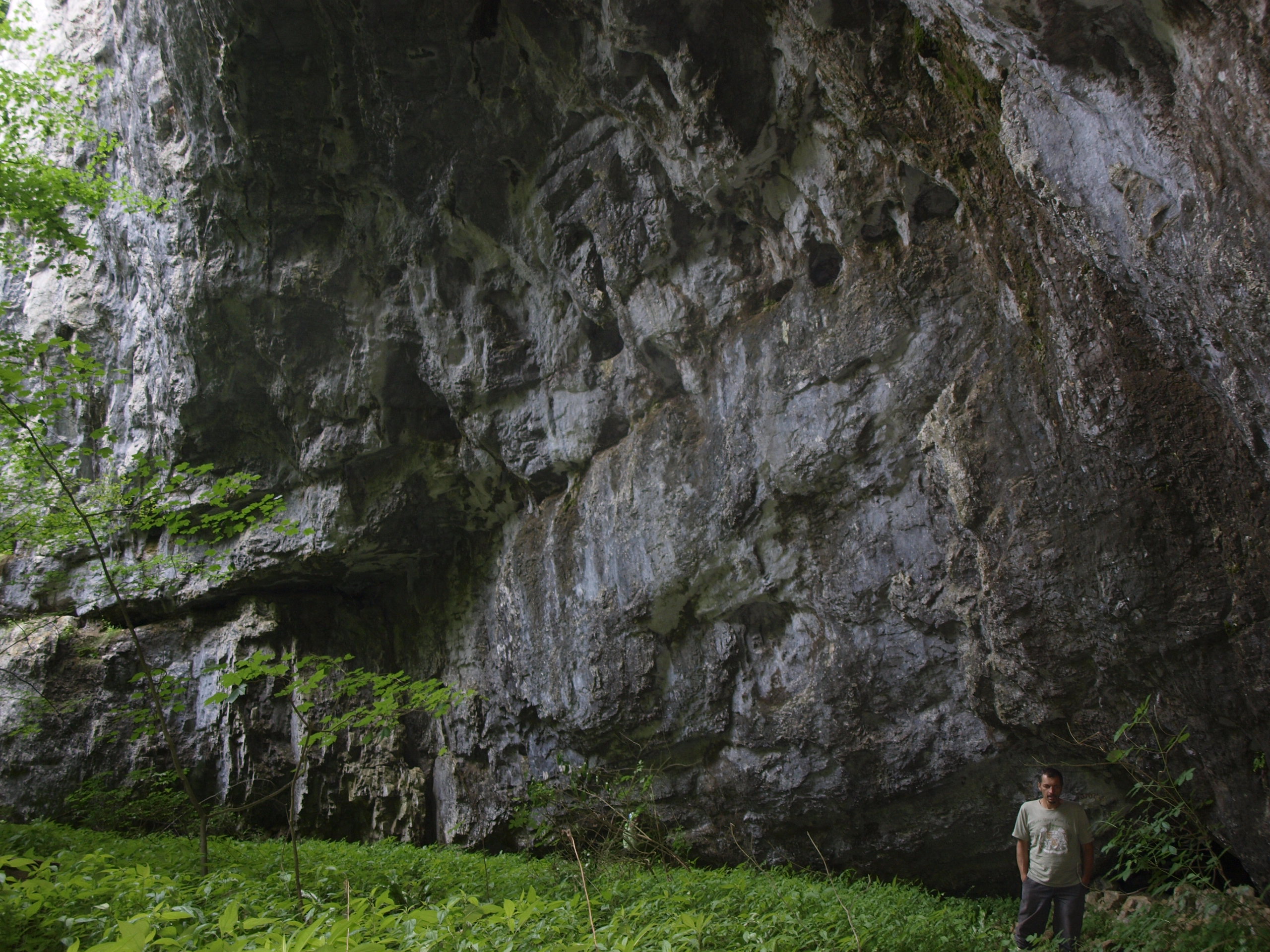 OLYMPUS DIGITAL CAMERA OLYMPUS DIGITAL CAMERA