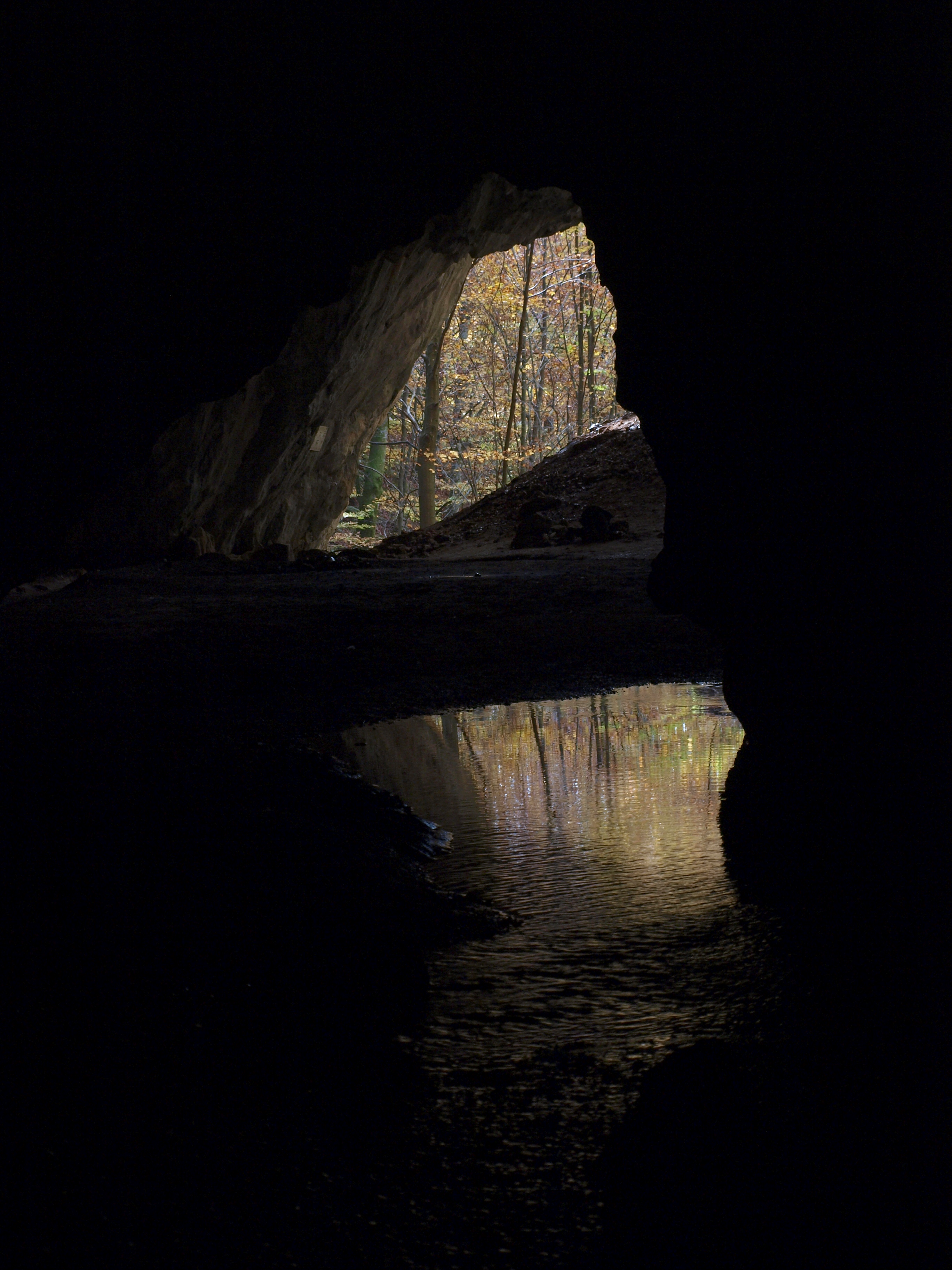 OLYMPUS DIGITAL CAMERA OLYMPUS DIGITAL CAMERA