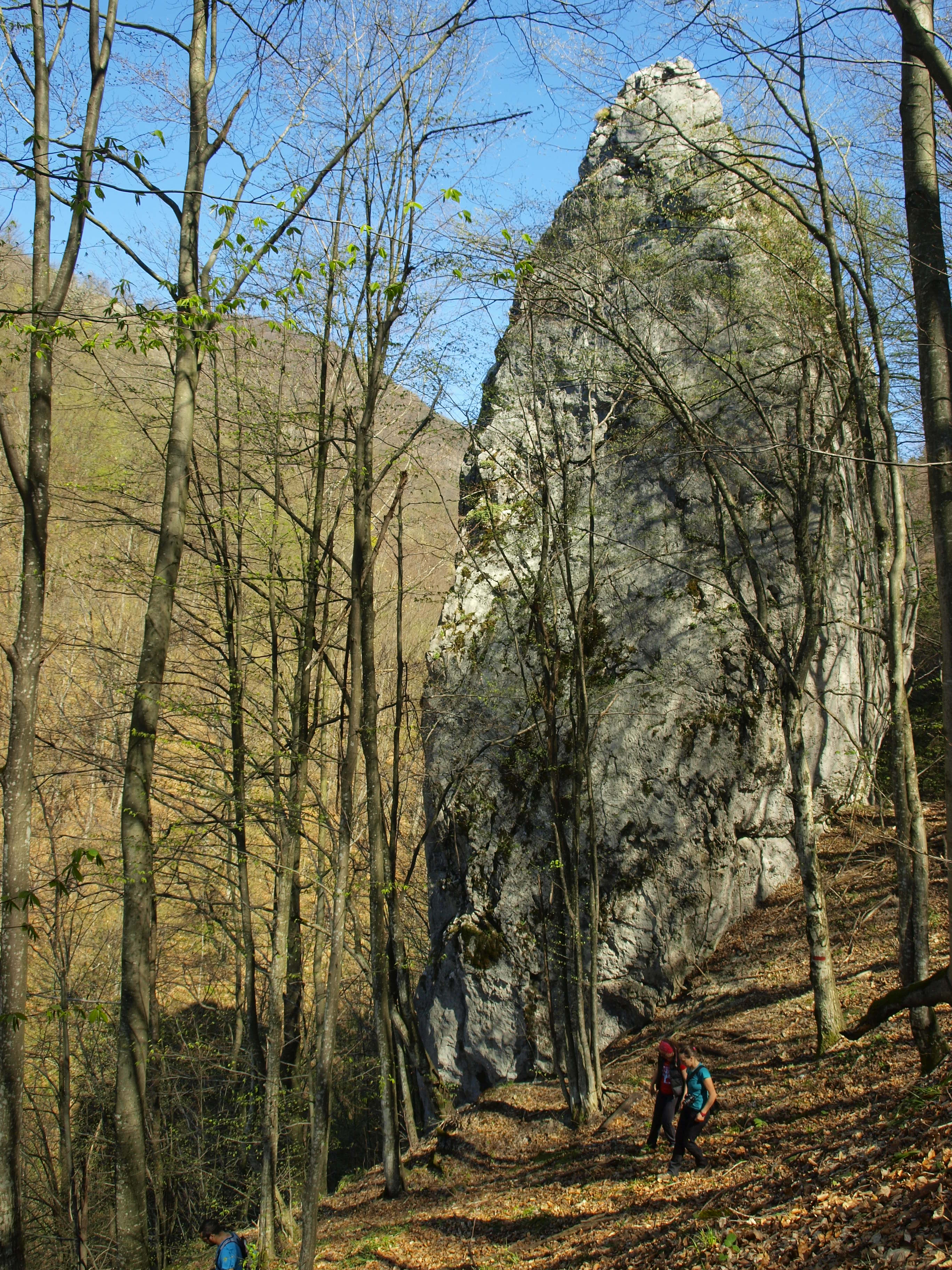 OLYMPUS DIGITAL CAMERA OLYMPUS DIGITAL CAMERA