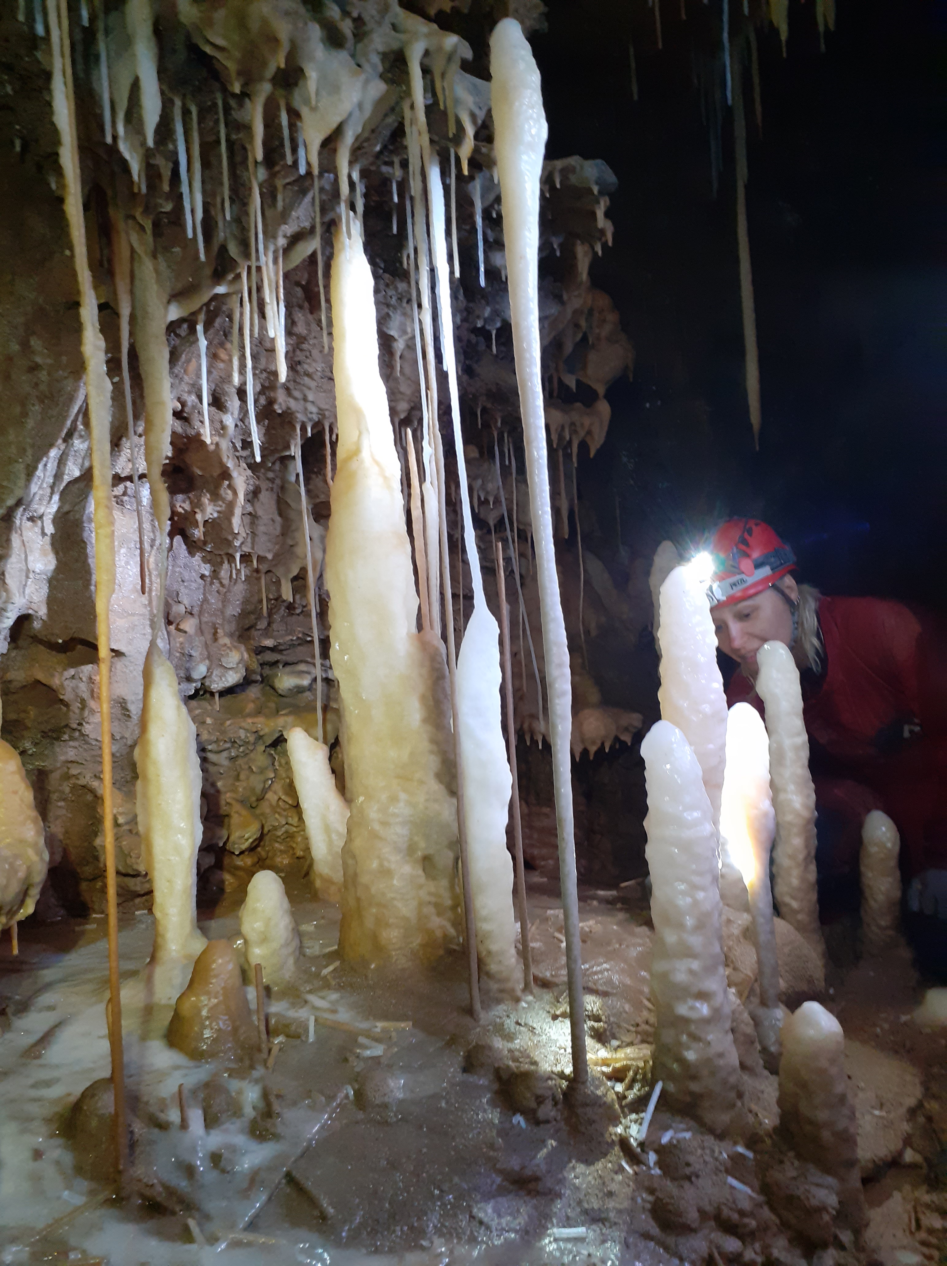 20200823_120750 20200823_120750