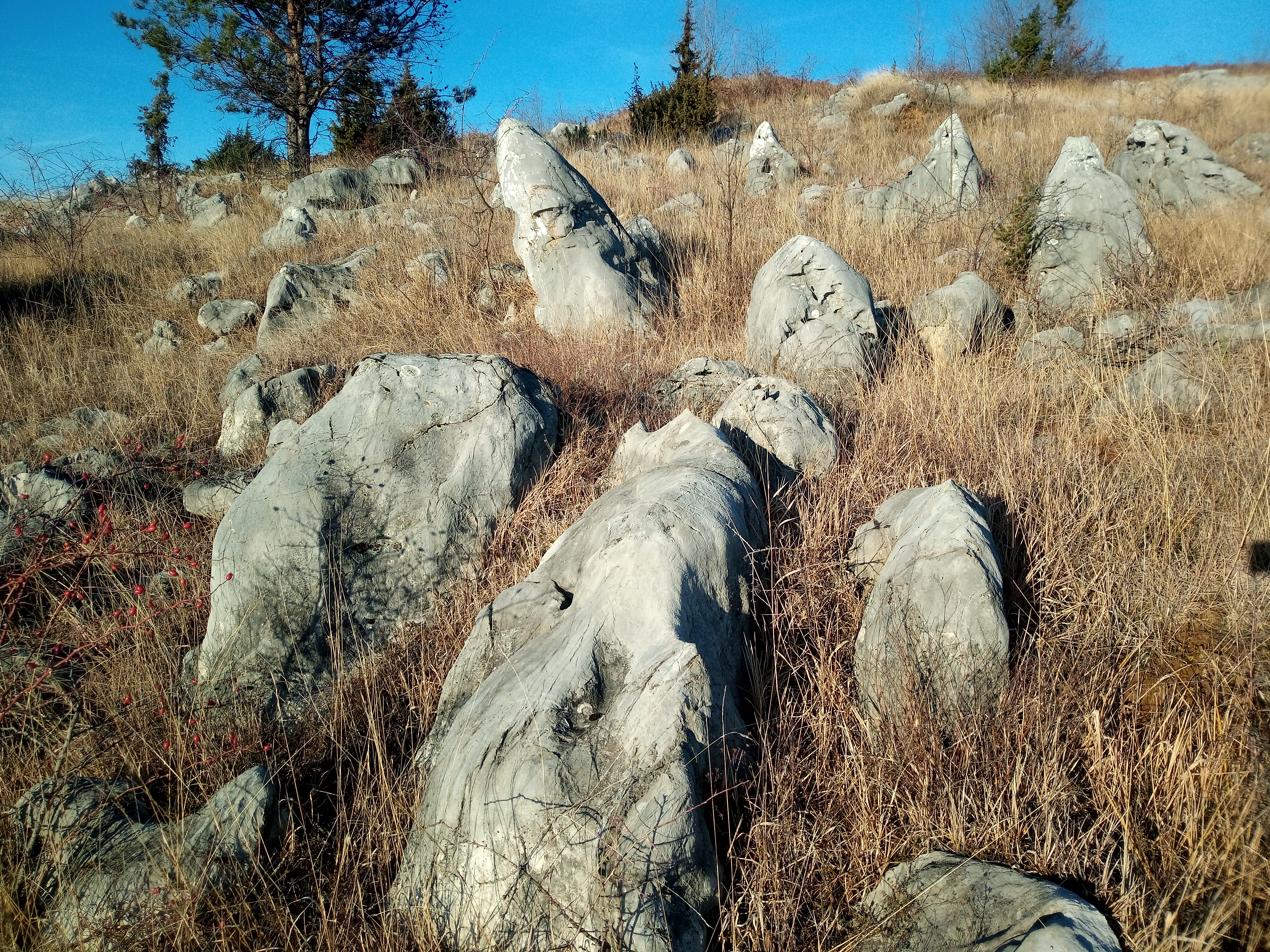 IMG_20230102_150939_429