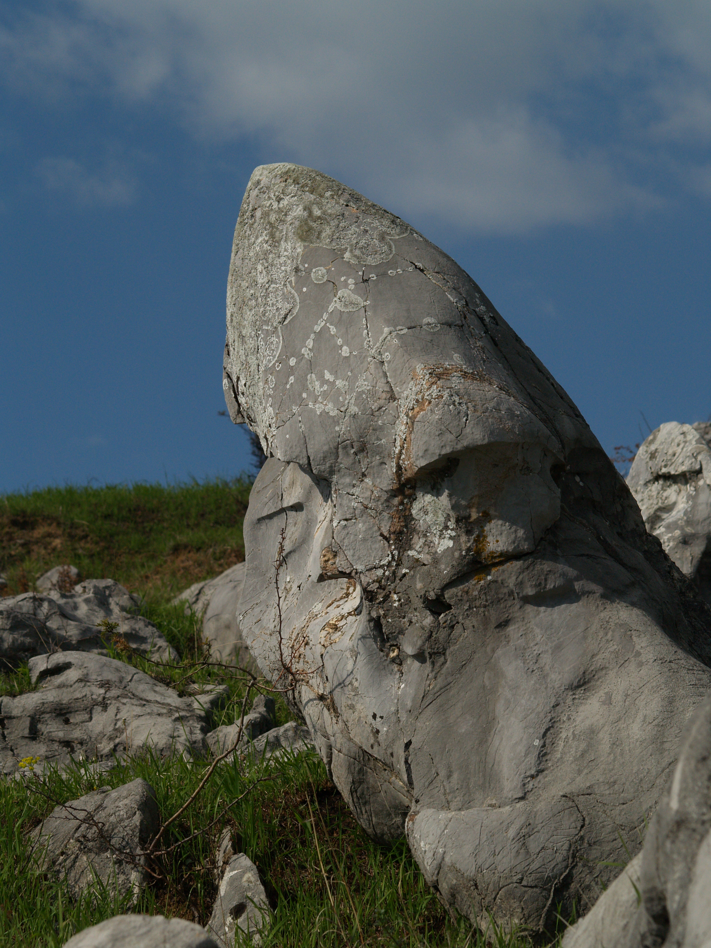 OLYMPUS DIGITAL CAMERA OLYMPUS DIGITAL CAMERA